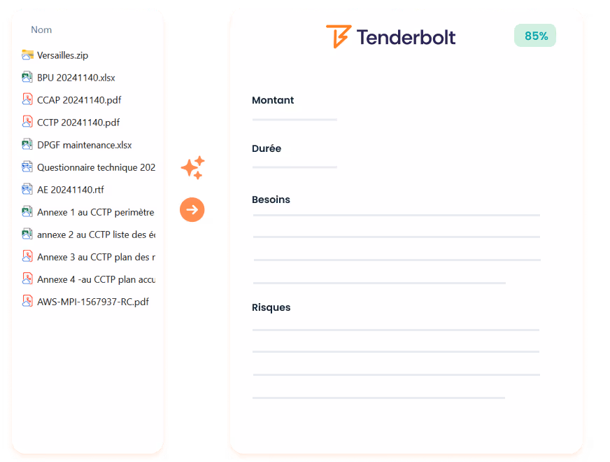 Go No Go summary generated by Tenderbolt AI for a tender